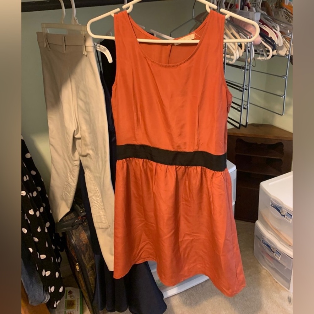 Nine bird dress